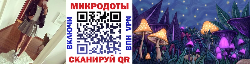 цена Снежинск Галлюциногенные грибы Psilocybine cubensis